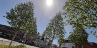 Contractors to continue on Kingsway scheme through firebreak
