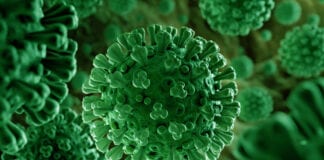 Covid-19 Causes Environmental Wake-Up Call for Wales