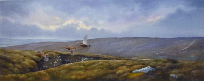 Autumn Grouse