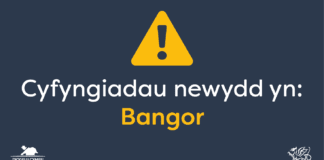 Cyflwyno cyfyngiadau coronafeirws lleol i reoli achosion ym Mangor