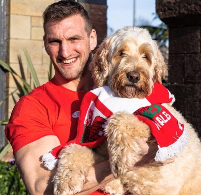 Sam Warburton and his beloved dog
