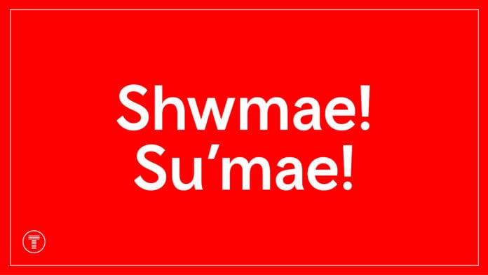 Shwmae beginning frame