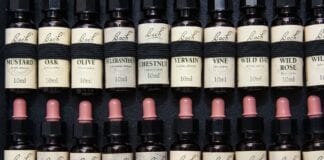 The Health Guru – Springtime