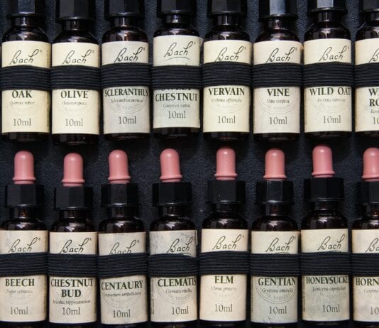 The Health Guru – Lockdown