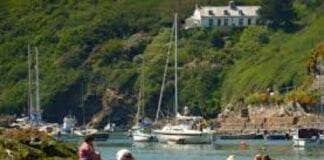Council launches online engagement portal Solva paddling