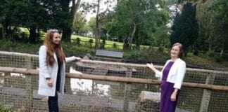 From A Scrap Of Paper To Duckingham Palace