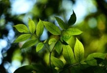 Making New & Healthy Changes