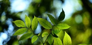 Making New & Healthy Changes