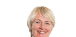Virtual catch ups between schools and Estyn should be “temporarily scrapped” says Plaid Cymru