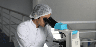 5 Effective Tips On Successful Monoclonal Antibody Production