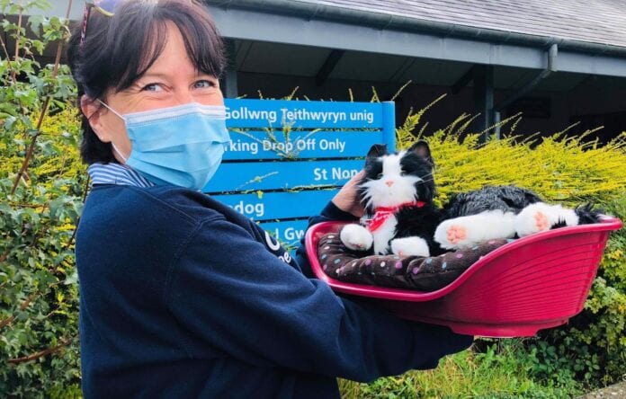 Cariad-Pet-Therapy-1