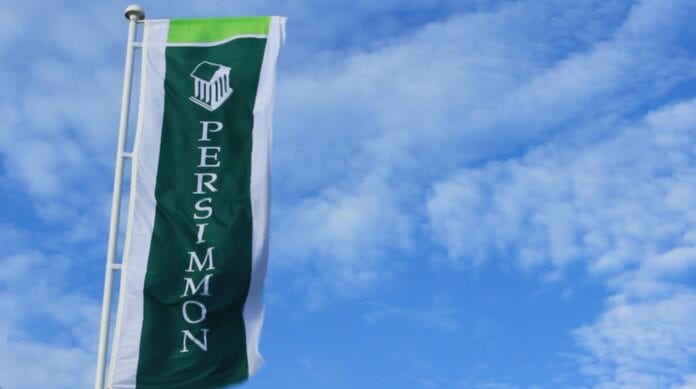 Perismmon Flag Blue Sky Best-2