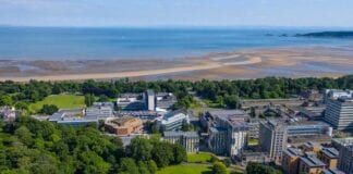 Pontio’r gagendor digidol: Ymchwilwyr yn Abertawe yn datgelu rhwystrau sy’n wynebu cyn-droseddwyr yng Nghymru