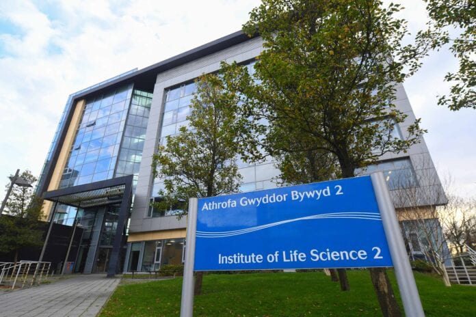 Swansea_University