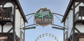 Attractions open on Museum Park in Swansea city centre