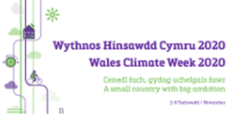 Council’s carbon neutral pledge