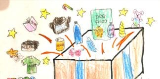 TWO LOCAL GIRLS CELEBRATE SUCCESS IN FESTIVE CARD COMPETITION
