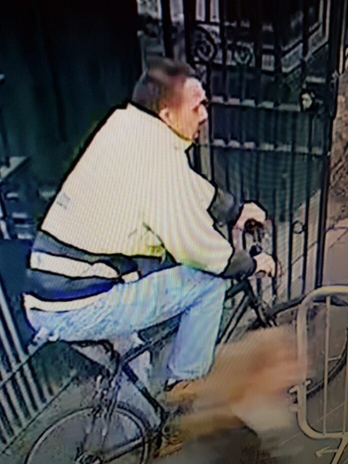 CCTV image - Carmarthen Skate Park dog bite
