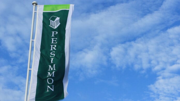 Perismmon Flag Blue Sky Best-3