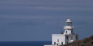 Cronfa Datblygu Cynaliadwy yn cefnogi prosiectau cymunedol sy’n ymateb i argyfwng hinsawdd ac yn lleihau ôl troed carbon