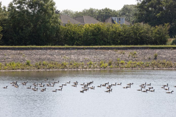 Welsh WaterLlanishen & Lisvane Reservoirs24.06.20©Steve PopeFotowales