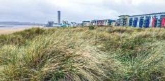 Work taking place to protect sand dunes