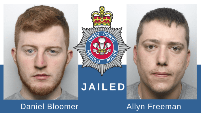 freeman-bloomer