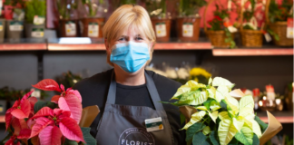NOT SIMPLY RED! MORRISONS LAUNCHES STRIKING NEW VARIETIES OF POINSETTIAS AHEAD OF CHRISTMAS