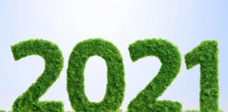 Brits vow to adopt green resolutions this year in an effort to save the planet