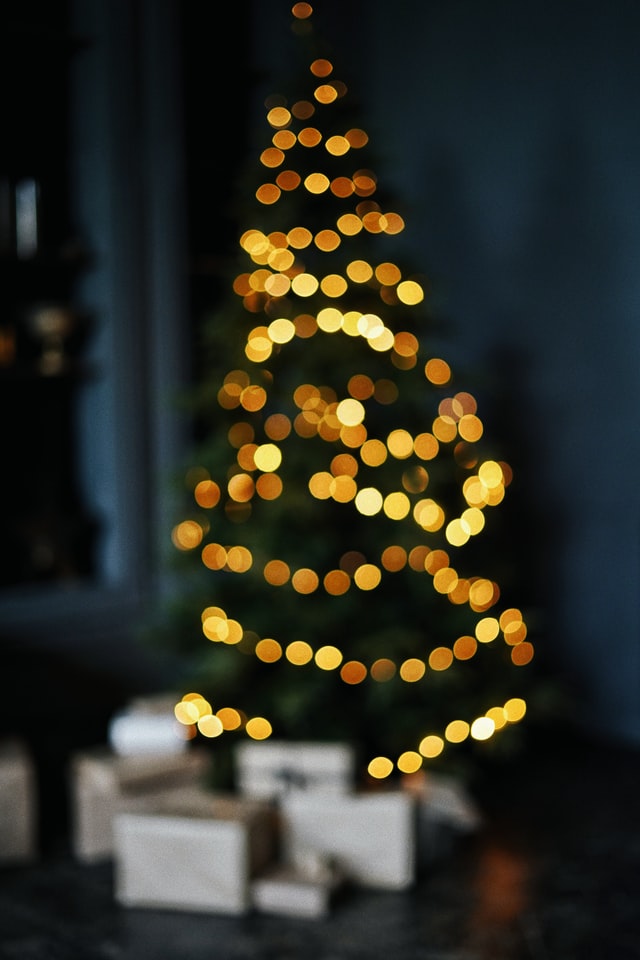 olena-sergienko-iVnKChvQJZA-unsplash
