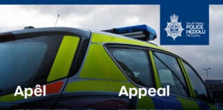 Appeal: Fatal Road Traffic Accident