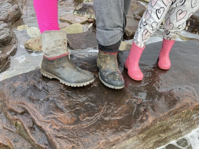 Dino-print-24-jan-2021-boots-AC