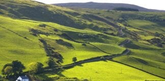 Researchers show Irish soil can offer more hope in fight against antibiotic resistance