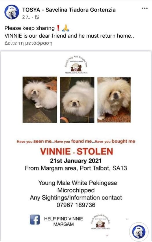 Vinnie