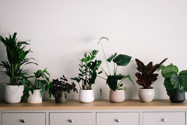 annie-spratt-S7viz8JWxwY-unsplash (1) (1)