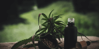 What Is The Entourage Effect And What Is Its Relation To CBD?
