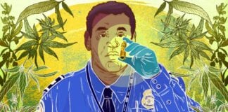 Top 5 CBD Hemp Flower Strains You Must Try In 2021