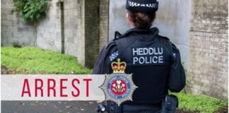 Arrest as up to 80 suspected stolen dogs are found by police