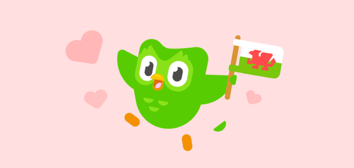 welshvalentine-pinkfix-vcr