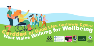 West Wales Walking for Wellbeing Carmarthenshire Online social event