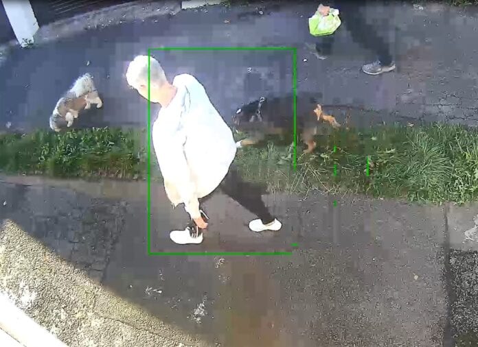 145174511_10158202438879302_618027325140977499_o