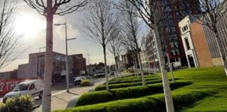 Cabinet adopts plan to help deliver a greener Swansea
