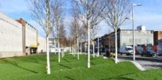 Cabinet set to adopt plan to help deliver a greener Swansea