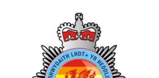 LGBT+ History Month – Diversity within Team SWP