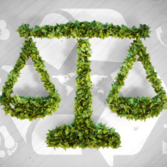 Env-Law-Scale-300x300