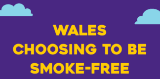 School grounds and playgrounds across Pembrokeshire to be smoke-free from 1st March