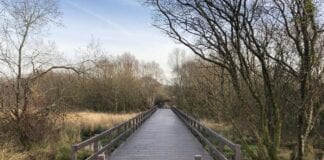 New cycle link in north of the city set to open