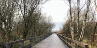 New cycle route opens to cyclists in Swansea