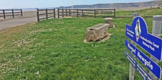 Talu di-arian yn dod yn fuan i feysydd parcio Awdurdod y Parc Cenedlaethol