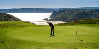 Tourism operators thrilled by Swansea’s global appeal